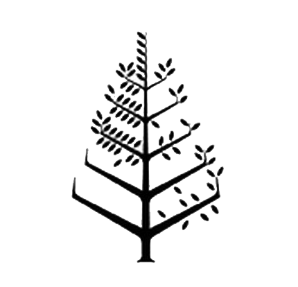 多哈四季酒店 Logo